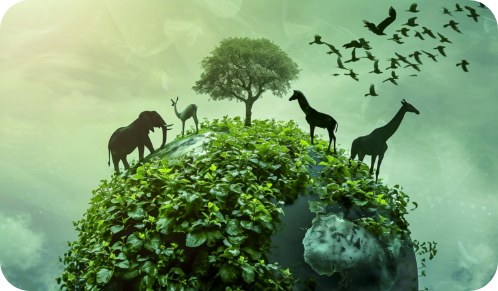 Biodiversity Conservation